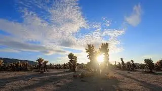Desert Howling Wind To Relax, Chill & Enjoy For 2 Hours (No Music)