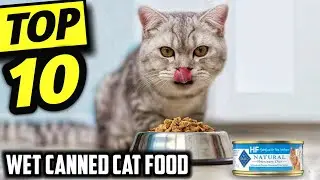 ☑️ Top 10 Best Wet Canned Cat Food of 2026 : Who wins in 2026 ?..😍✨