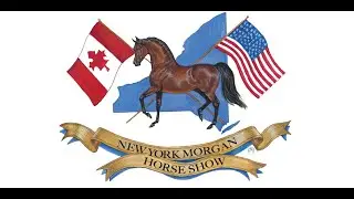 2024 New York Regional Morgan Horse Show Thursday evening livestream