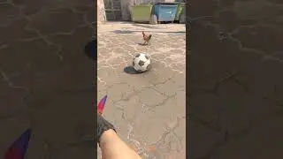 Chickens can do this in cs2