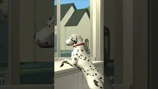 Cute Pet Interactions in The Sims 2 #shorts