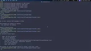 Using Volta to Manage Node and NPM Dependencies