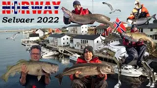 Fishing in Norway 2022 - Island Selvaer near Traena, English Edition