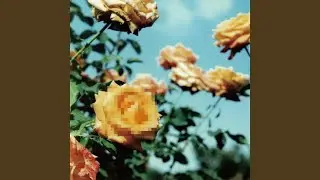 Perfume of love (SG INSTRUMENTAL ver.)