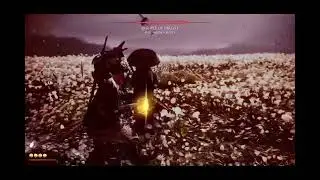 Ghost of Yōtei // Discipline Of Takezo                       