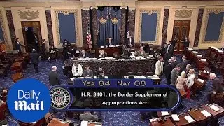 Senate votes and approves $4.6 billion bill to care for migrants
