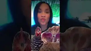 De vacaciones con mis amigas 🌺✈️🗺️#yalix29 #yalixbeauty29 #chicken #memes
