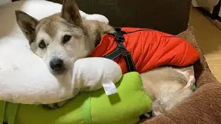 別々の部屋で暮らすことになりました。