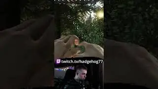 БРИЛЛИАНТОВАЯ ГРАНАТА НА ХОД 100500 IQ #eft #twitch #wtfmoment #grenade