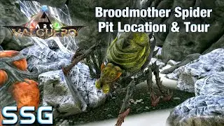 ARK Broodmother Spider Pit Location & Tour SEESHELLGAMING