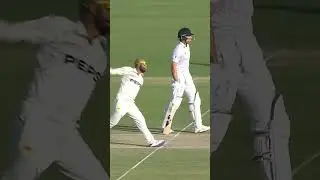 De Zorzi&rsquo;s Power + Pakistan&rsquo;s Error = 11 Runs in 2 Balls! #sportstv #PAKvSA #cricket | M3U1U