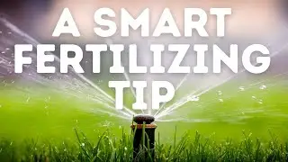 How Much Should You Water After Fertilizing Your Lawn?