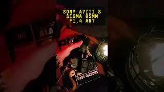 Sony A7III & Sigma 85mm F1.4 ART #shorts #photography