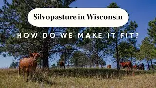 Silvopasture in Wisconsin - How Do We Make It Fit? | Julie Hager from the Savanna Institute