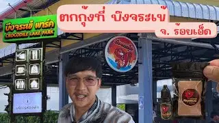 Ep.29 ตกกุ้งที่ บึงจรเข้ จ.ร้อยเอ็ด #บึงจระเข้ พาร์ค #บ่อตกกุ้ง #ตกกุ้ง 