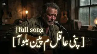 pany akil ma papan palo full song |pano aqil me papan | Sindhi full song 