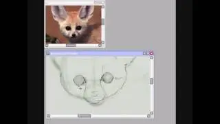 Fennec Fox - Speedpaint