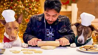 Dogs Try Baking Dog-Friendly Gingerbread Cookies