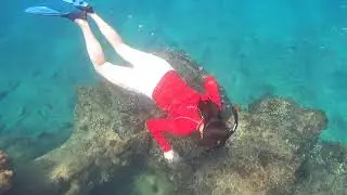 Take Only Photos: Ethical Free & Scuba Diving in the Maldives