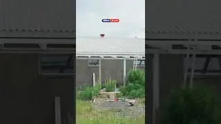 Siang hari rumah kayak oven🥵 Saatnya beralih ke Mega Shield.#ataprumah #kekinian #shorts #shortvideo