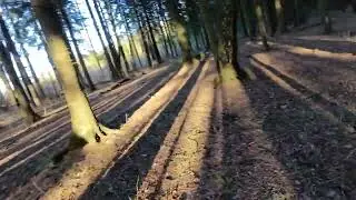 DarkStar20 O4 Unit + Axis Cover - Forest