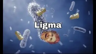 Does Ninja Have Ligma