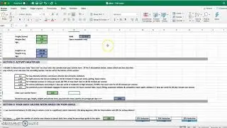 PHNM Mens Fat Loss Spreadsheet Directions
