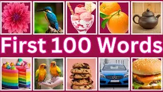 First 100 Words Everyone should know | Do You Know These Words
