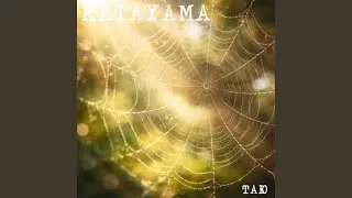 Таю
