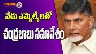 TDP State Level Meeting Continues In Vijayawada Over TDP Defeat In 2019 Polls & Party Action Plan