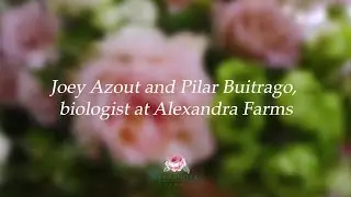 Joey R. Azout Talks with Alexandra Farms' 'New Product Manager' Pilar Buitrago