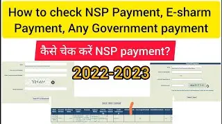 How to  check NSP payment and E- Sharm, Any Government Payment Kaise Check kare?
