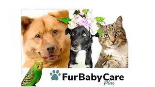 FurBaby Care Plus Leann Babb