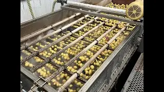 Mayo Potato Brush Washer