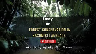 Kashmiri Essay || Forest Conservation Essay in Kashmiri | JKBOSE & CBSE || important eassy ||