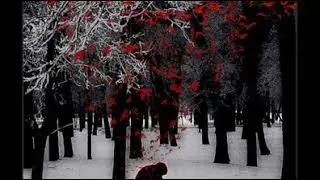 Agalloch - Falling Snow (DJ STOEK Edit)