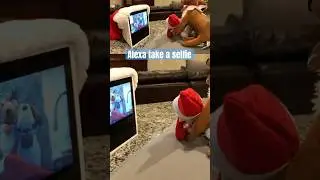 ELF ON THE SHELF caught TAKING SELFIES WITH AMAZON ALEXA! #christmas #elf #magic #shorts