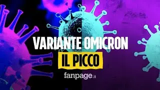 Variante Omicron, quando caleranno contagi e morti: i numeri di uno studio americano