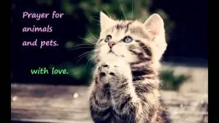 prayer for cats, dogs and other pets and animals