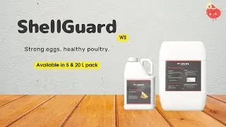 Shell Guard WS Strengthening Eggshells, Ensuring Quality   Revolutionary Poultry Feed Supplement