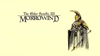 The Elder Scrolls III: Morrowind - 100) Добро пожаловать в Дагон Фел!