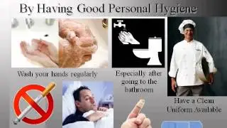 Basic Introduction to Food Hygiene