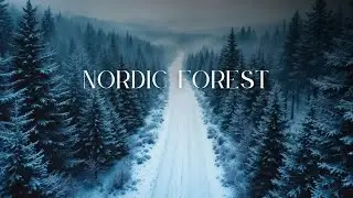 Nordic Forest | Deep Sleep Ambience &middot; 2 Hours