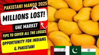 Pakistani Mango Export UAE 2025 | Lakhon ka Nuqsaan | UAE Market se Profit Kaise Karen?