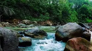 White Noise for Studying Nature – Soft Forest Stream to Improve Concentration