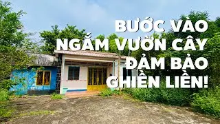 Ko có gì để chê, bán nhà vườn 2231m2 xum xuê cây trái ở BR-VT xem là thích