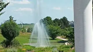 Park Killesberg Stuttgart. Раннее утро в парке.