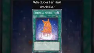 What Does Terminal World Do?