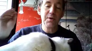 Runawebinar Lifetime Run A Webinar Account
