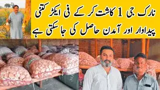 G1 Lehsan Ki Pehchan | G1 Lehsan Ki Kasht | G1 Lehsan Price in Pakistan